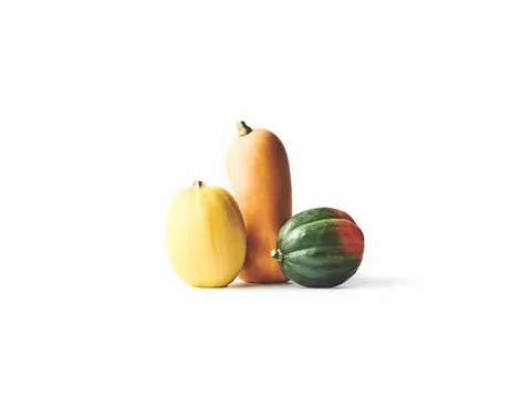 Spaghetti, butternut and acorn squash